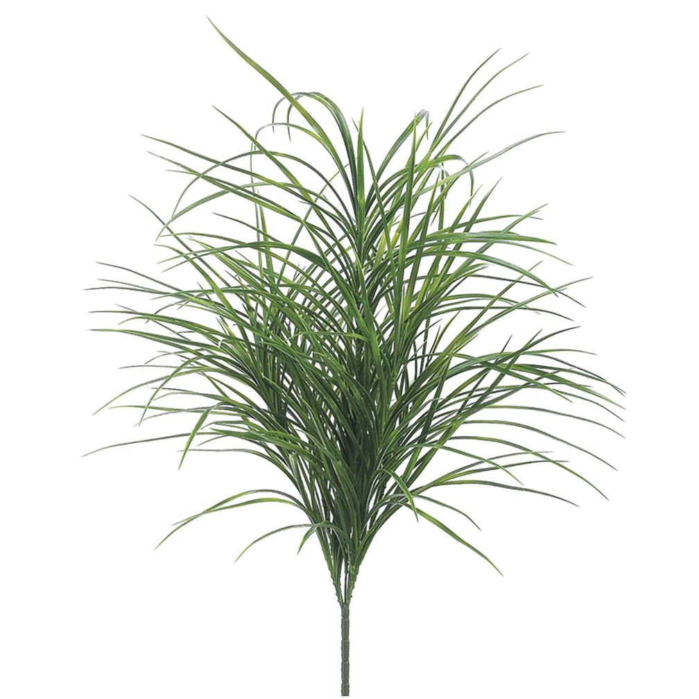 Wheat Grass Bush, Green