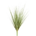 Onion Grass Bush, Green