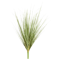 Onion Grass Bush, Green