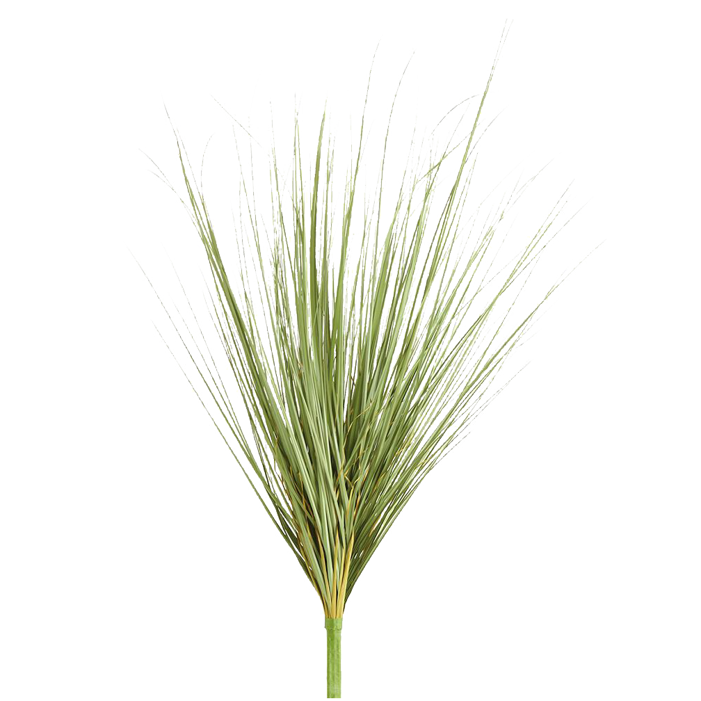 Onion Grass Bush, Green
