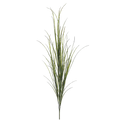 Willow Grass Bush, Green