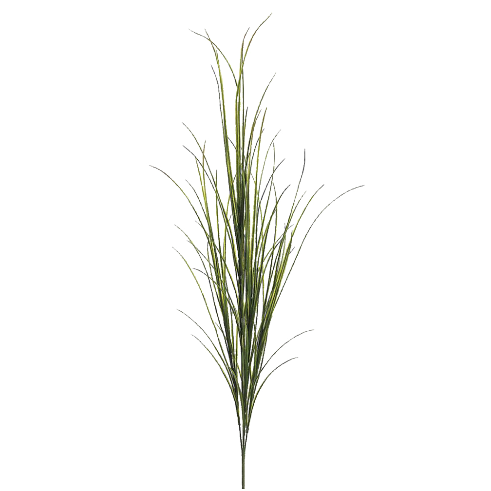 Willow Grass Bush, Green