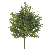 Tea Leaf Bush, Green