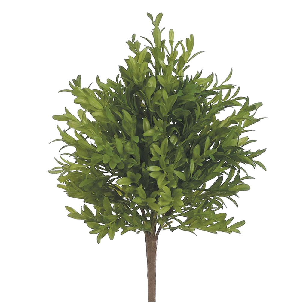 Tea Leaf Bush, Green