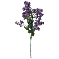Baby's Breath, Purple