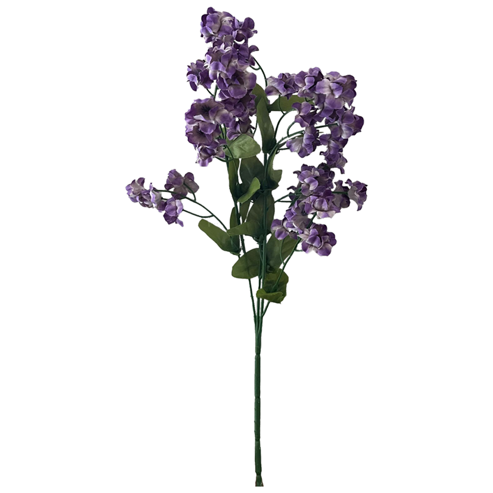 Baby's Breath, Purple