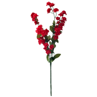 Baby's Breath, Red