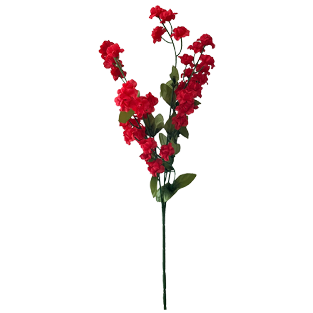 Baby's Breath, Red