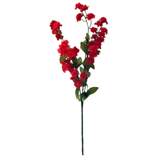 Baby's Breath, Red