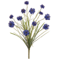 Cornflower Bush, Blue