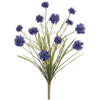 Cornflower Bush, Blue