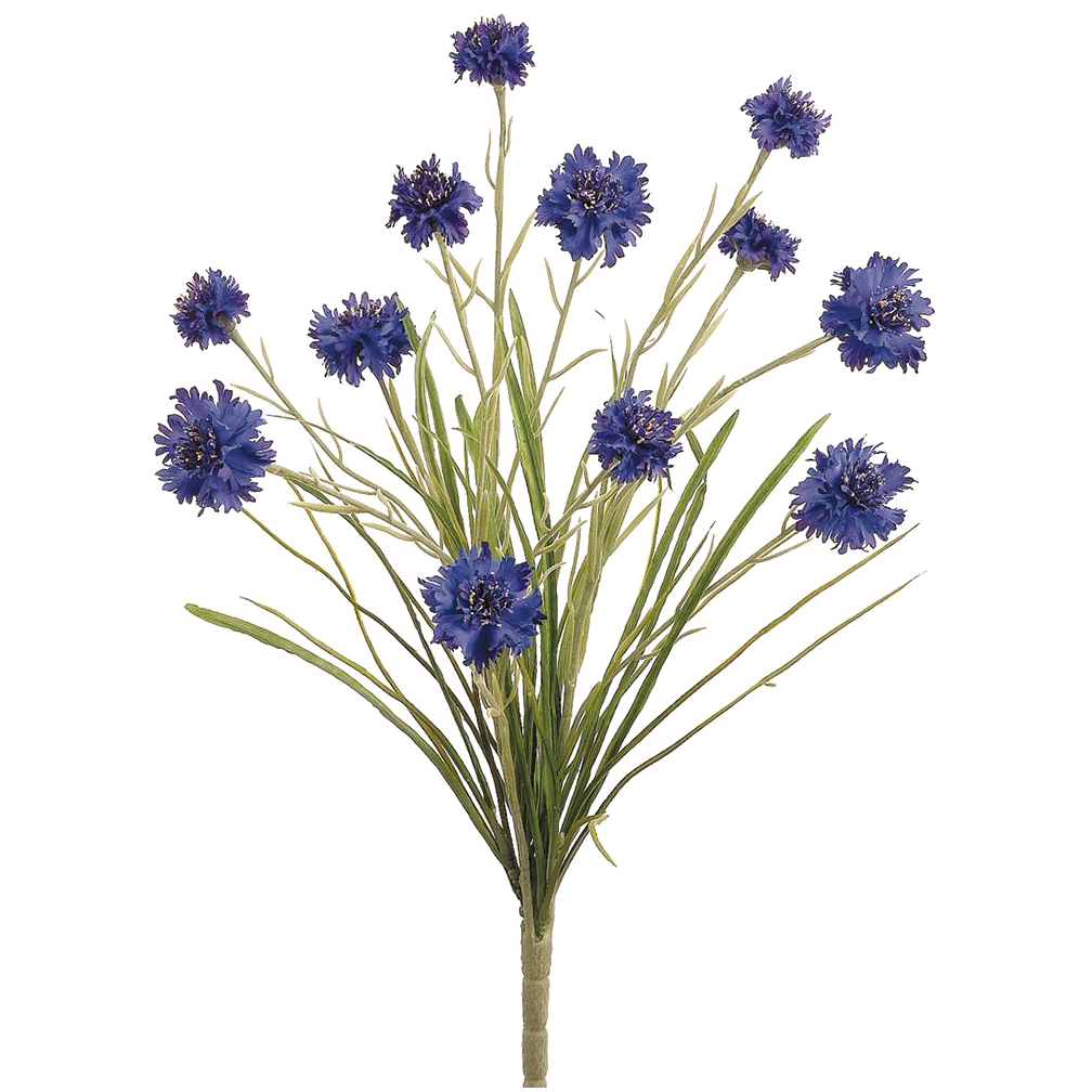 Cornflower Bush, Blue