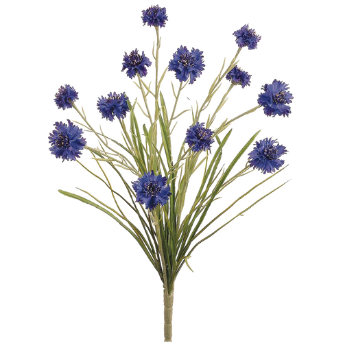 Cornflower Bush, Blue