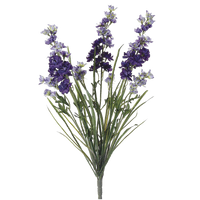 Delphinium Bush, Purple