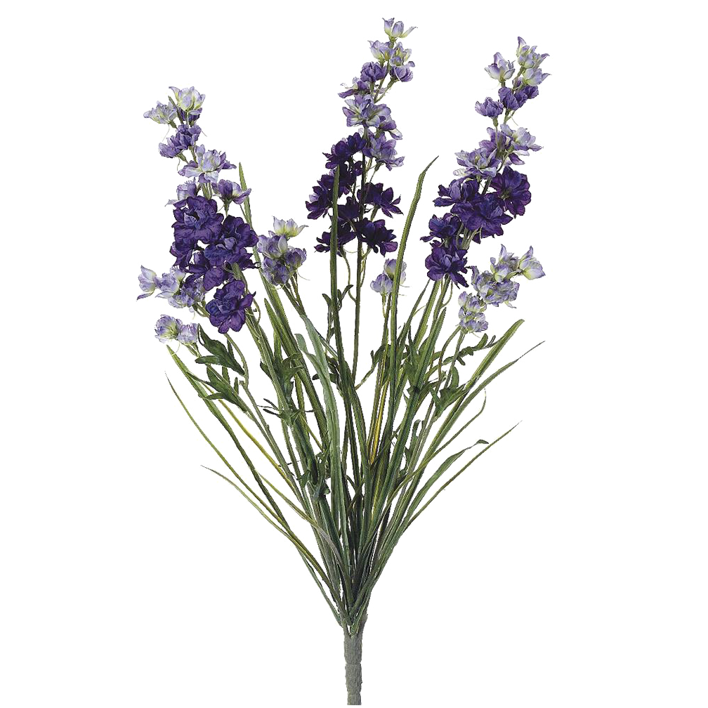 Delphinium Bush, Purple