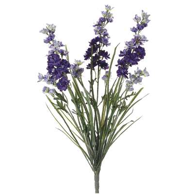 Delphinium Bush, Purple