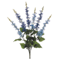 Delphinium Bush, Blue/Purple
