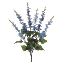 Delphinium Bush, Blue/Purple