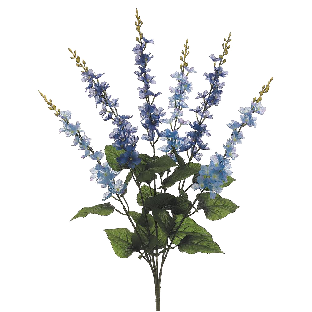 Delphinium Bush, Blue/Purple