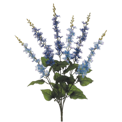Delphinium Bush, Blue/Purple