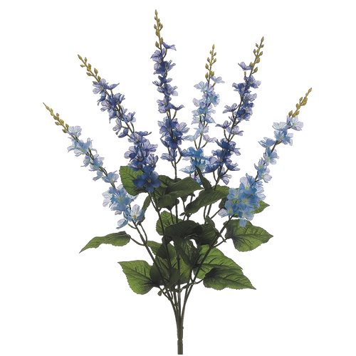 Delphinium Bush, Blue/Purple