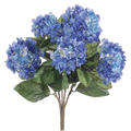 Hydrangea Bush, Blue