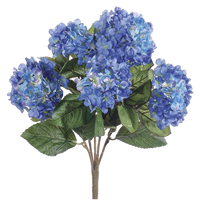 Hydrangea Bush, Blue