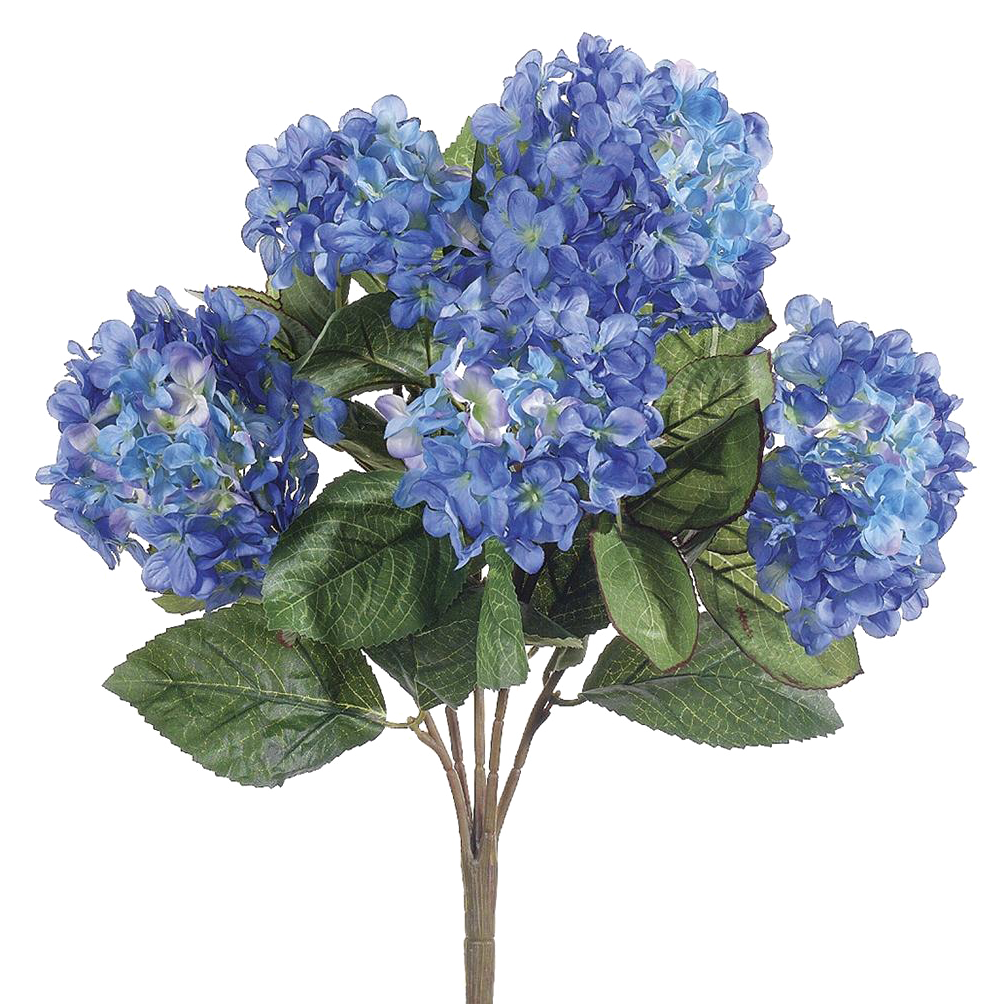 Hydrangea Bush, Blue