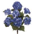 Hydrangea Bush, Purple