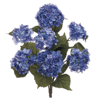 Hydrangea Bush, Purple