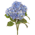 Hydrangea Bush, Blue/White