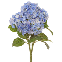 Hydrangea Bush, Blue/White