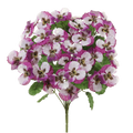 Pansy Bush, Fuschia/White