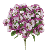 Pansy Bush, Fuschia/White