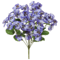 Pansy Bush, Purple