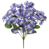 Pansy Bush, Purple