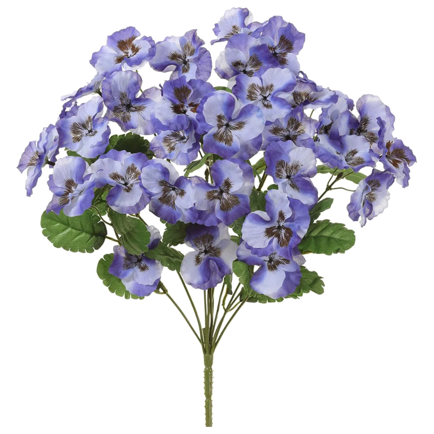 Pansy Bush, Purple