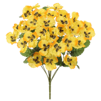 Pansy Bush, Yellow