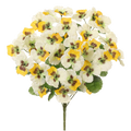 Pansy Bush, Yellow/White