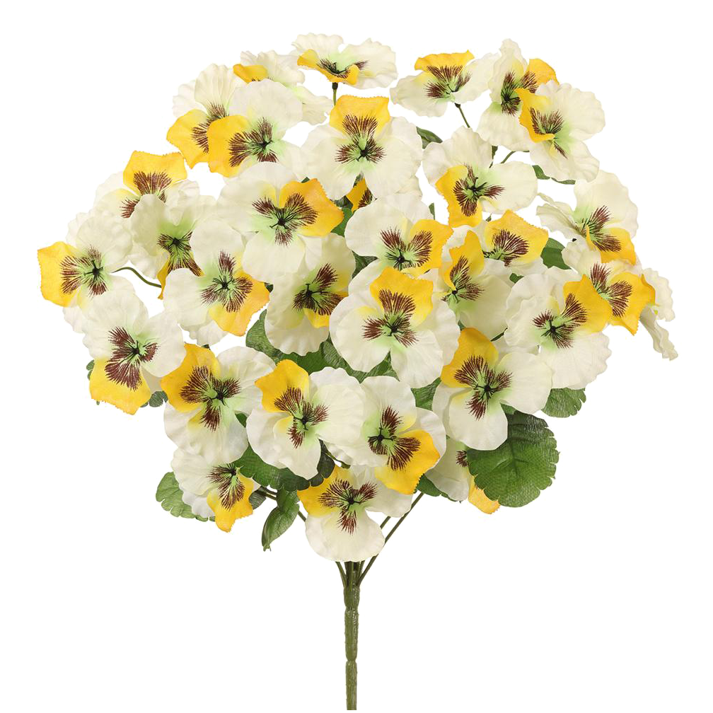 Pansy Bush, Yellow/White
