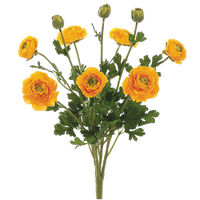 Ranunculus Bush, Yellow