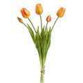Tulip Bud Bouquet, Orange/Red