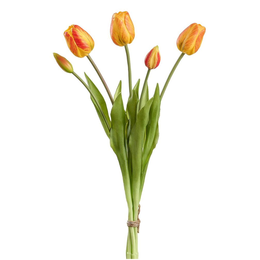 Tulip Bud Bouquet, Orange/Red