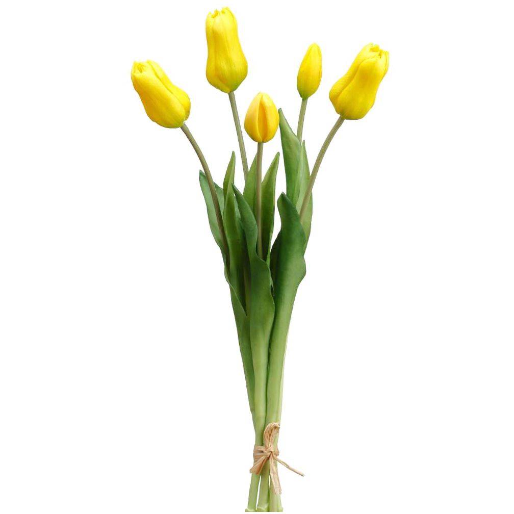 Tulip Bud Bouquet, Yellow