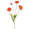 Poppy Spray, Red/Coral