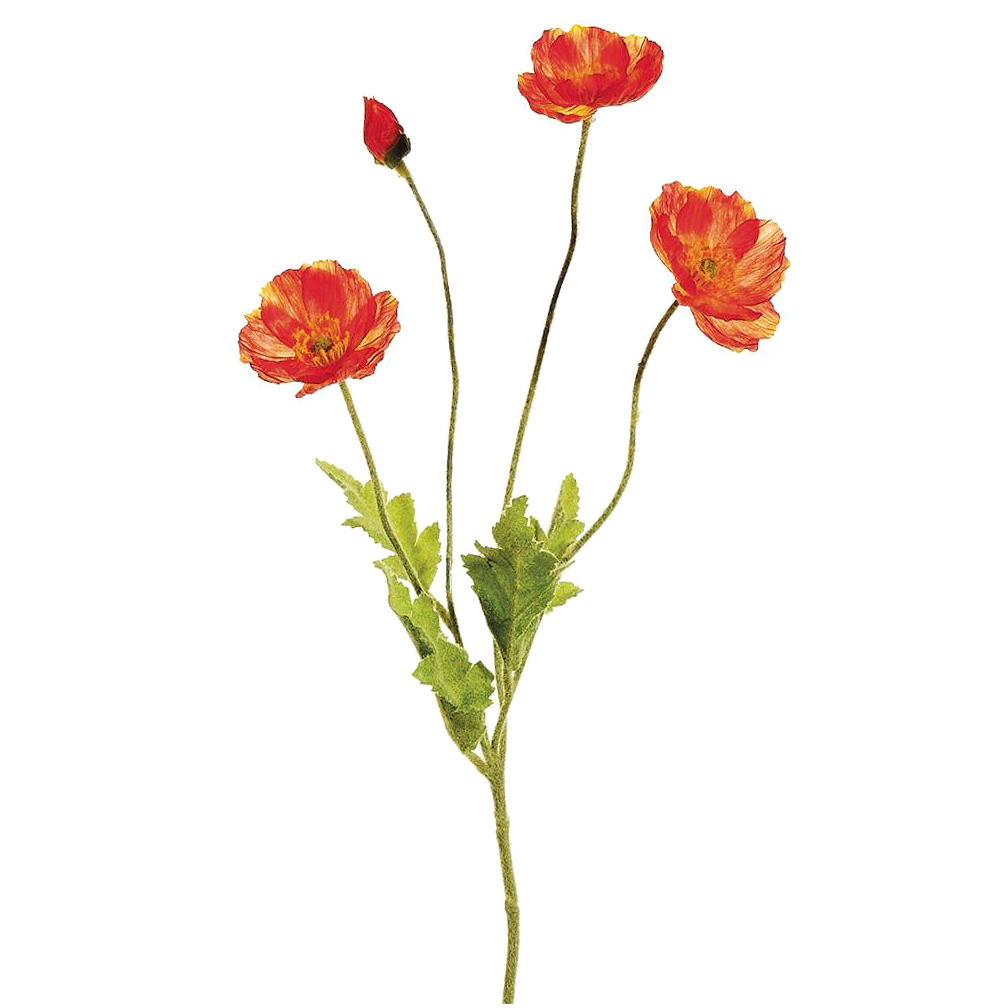 Poppy Spray, Red/Coral