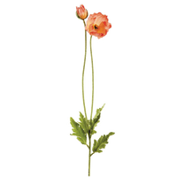 Poppy Spray, Coral/White