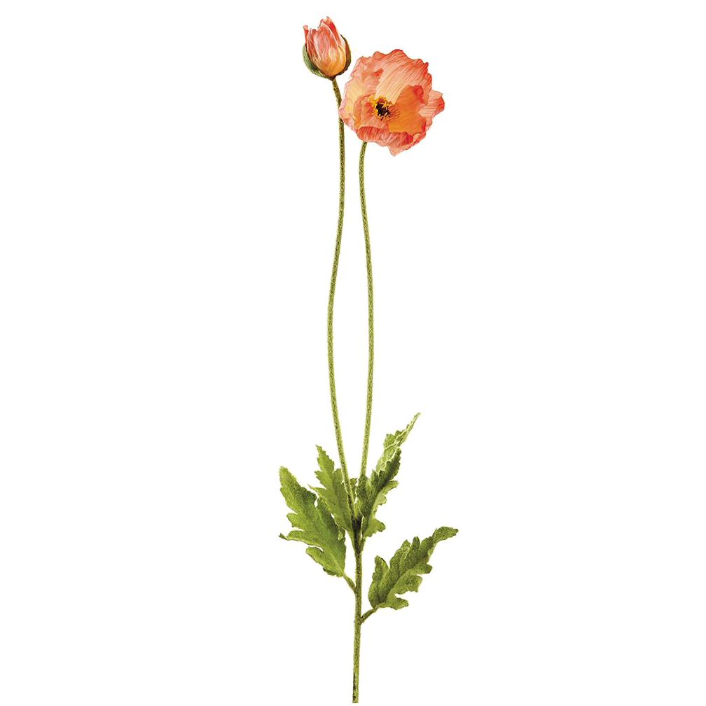 Poppy Spray, Coral/White