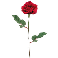 Rose Spray, Red