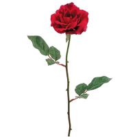 Rose Spray, Red